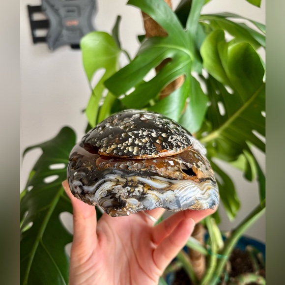 Agate Geode from Brazil - Picture 4 of 5